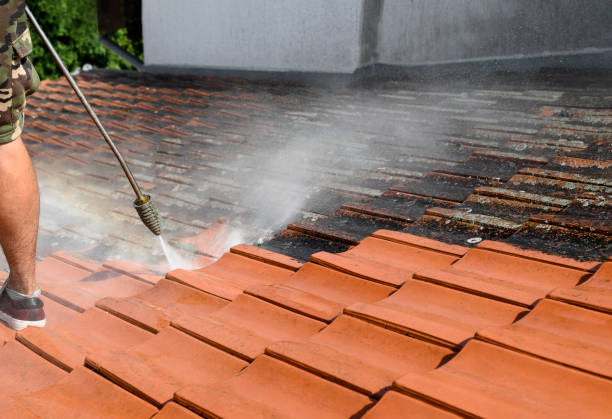 Best Pressure Washing Patio  in Lafayette, CO