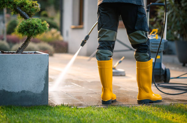 Best Pressure Washing Siding  in Lafayette, CO